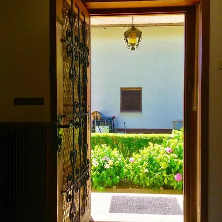 Mint&lavender Id1o1674 3* Bled