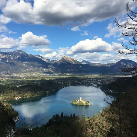 Gasthof Mint&lavender Id1o1674