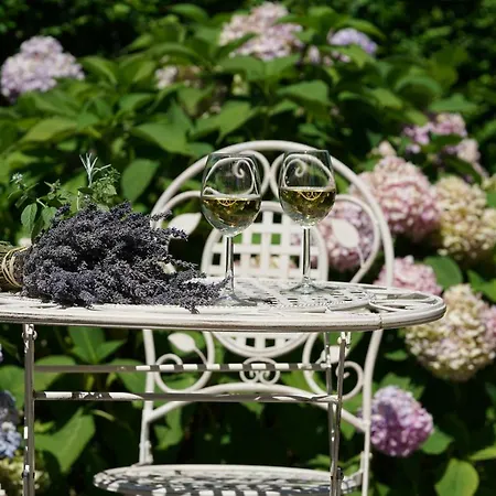 Mint&lavender Affittacamere