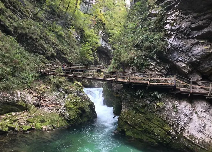 Mint&lavender Id1o1674 Hiša za goste Bled