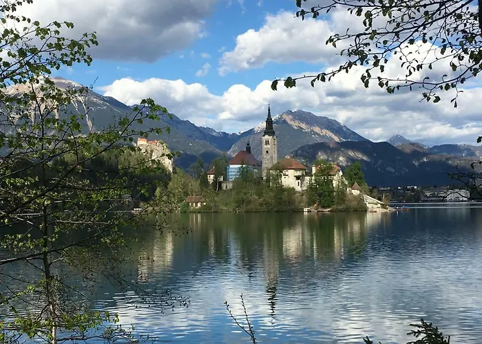 Mint&lavender Id1o1674 3*